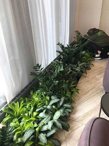staff working on plants