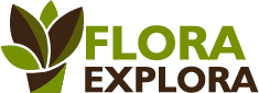 Logo, Flora Explora LLC