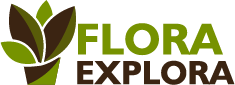 Logo, Flora Explora LLC