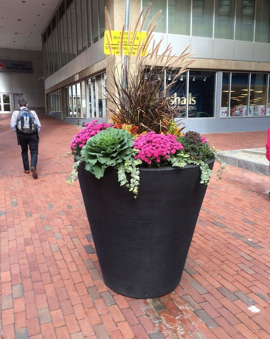 planter exterior